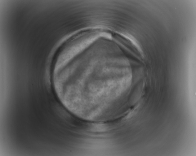 X0000088731120200706282118