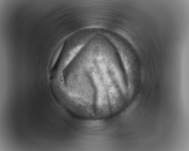 X0000088731121200706282118