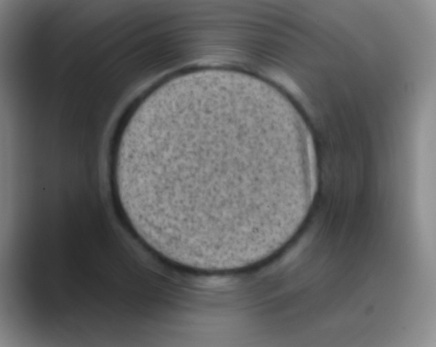 X0000088731122200706282118