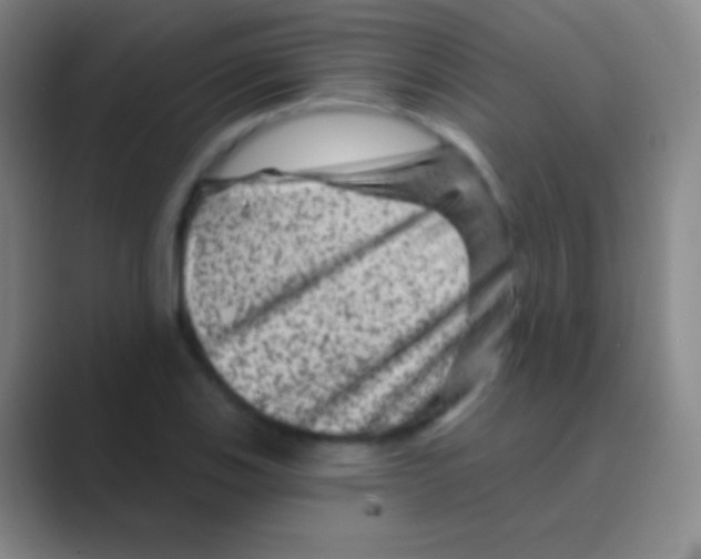 X0000088731123200706282118