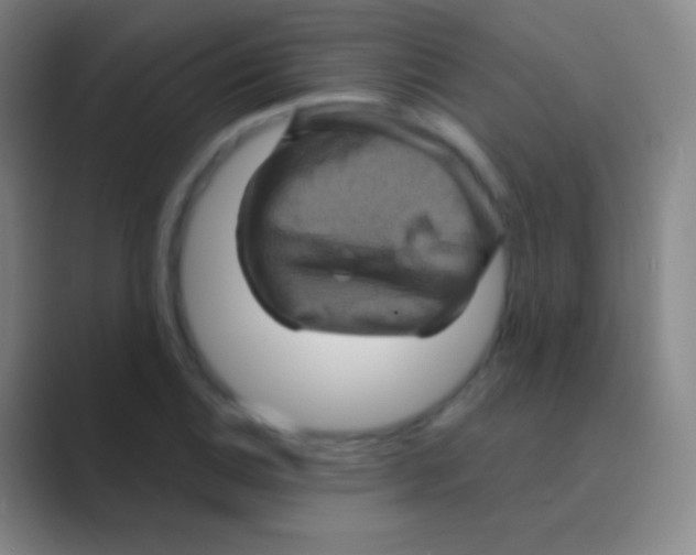 X0000088731124200706282118