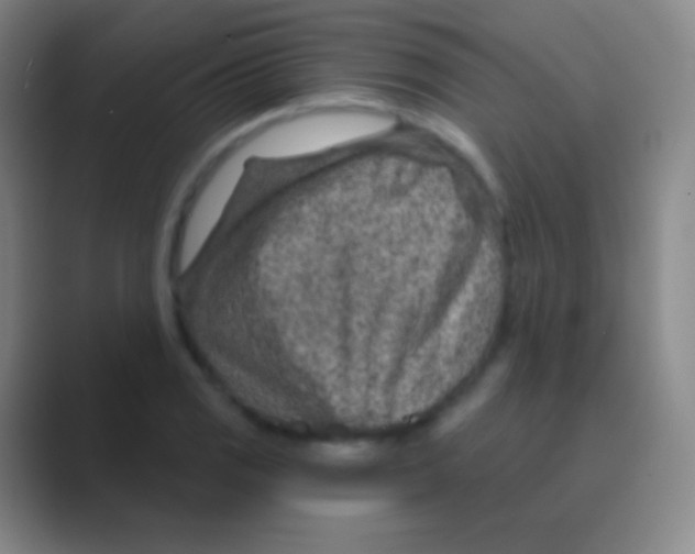 X0000088731125200706282118