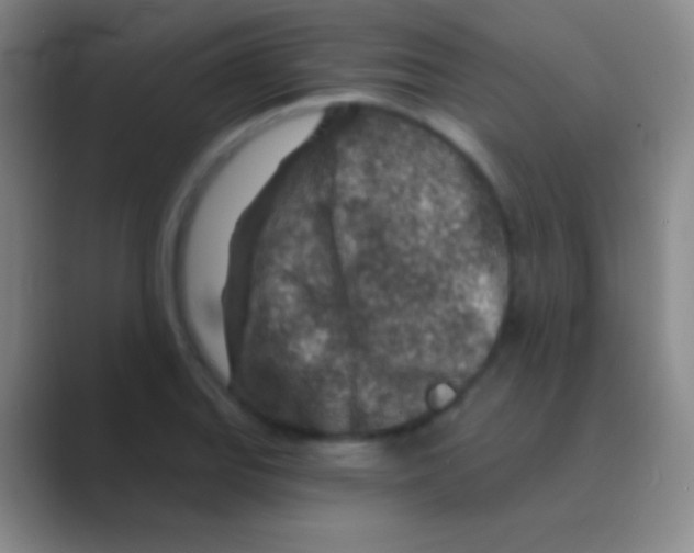 X0000088731127200706282118