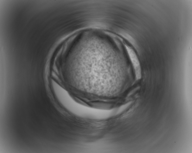 X0000088731128200706282118