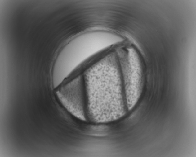 X0000088731129200706282118