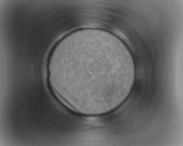 X0000088731130200706282118