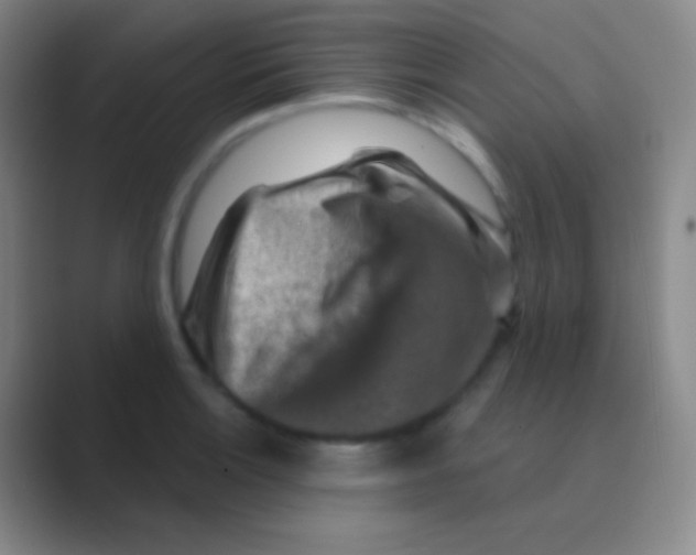 X0000088731132200706282118