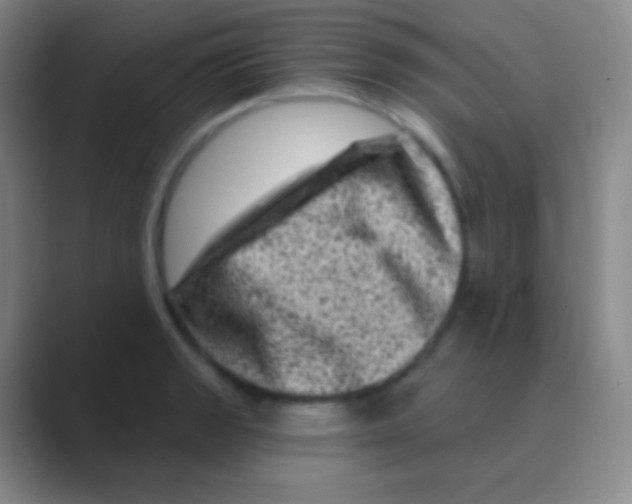 X0000088731133200706282118