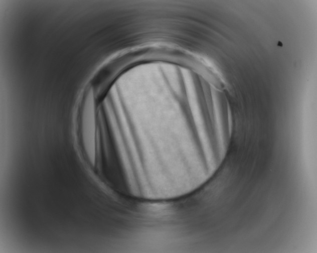 X0000088731134200706282118