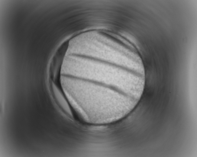 X0000088731135200706282119