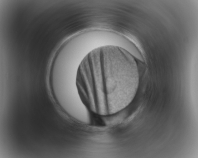 X0000088731136200706282119