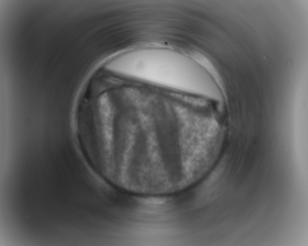 X0000088731141200706282119