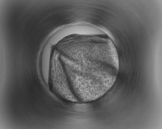 X0000088731142200706282119