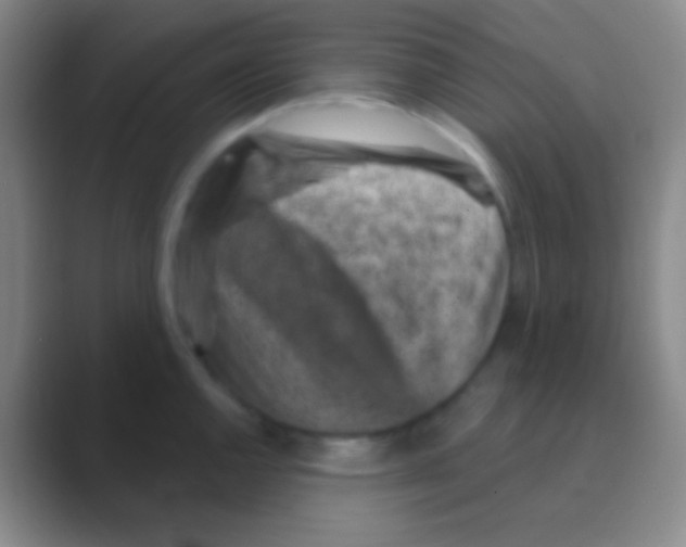 X0000088731144200706282119