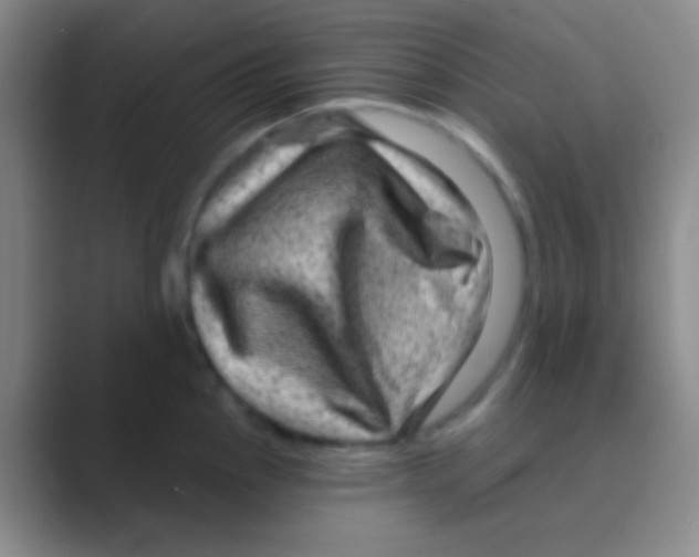 X0000088731145200706282119