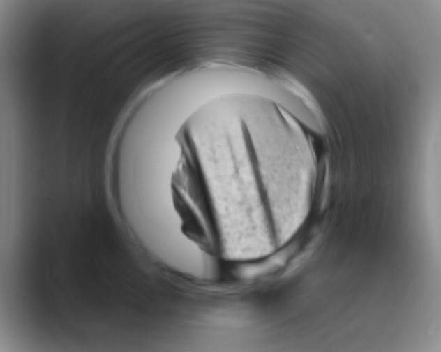 X0000088731146200706282119