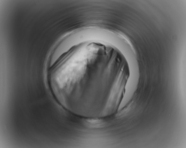 X0000088731147200706282119