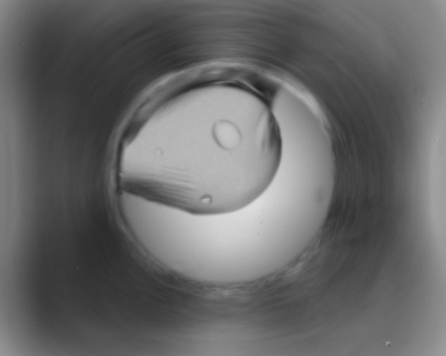 X0000088731148200706282119