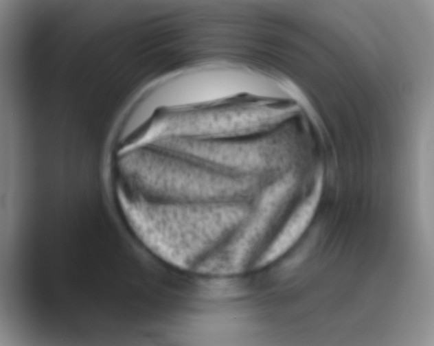 X0000088731149200706282119