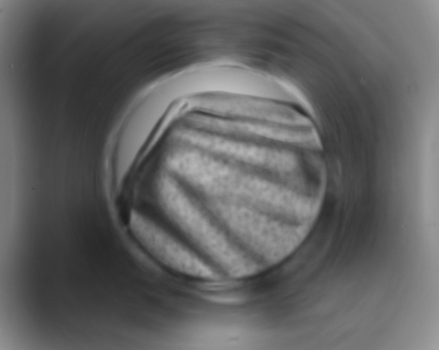 X0000088731151200706282119