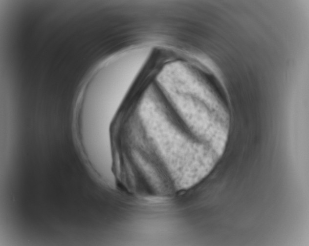 X0000088731152200706282119