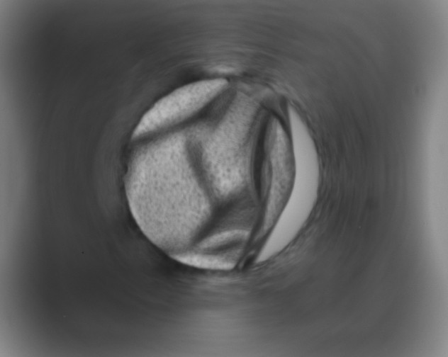 X0000088731153200706282118