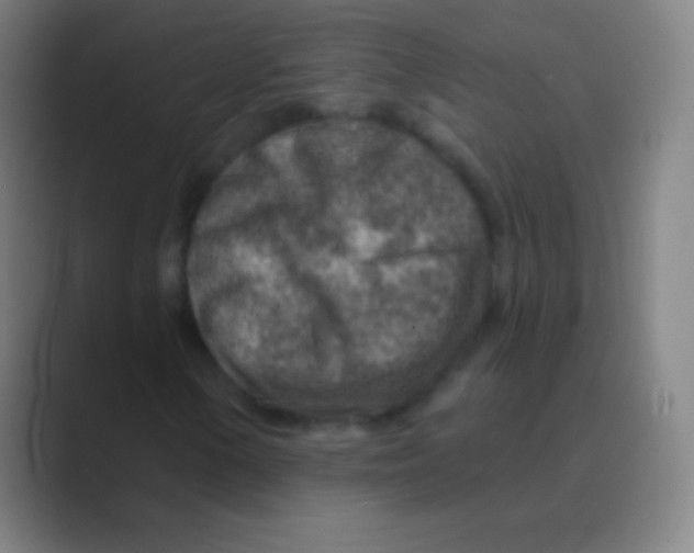 X0000088731154200706282118