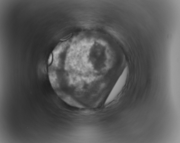 X0000088731155200706282118