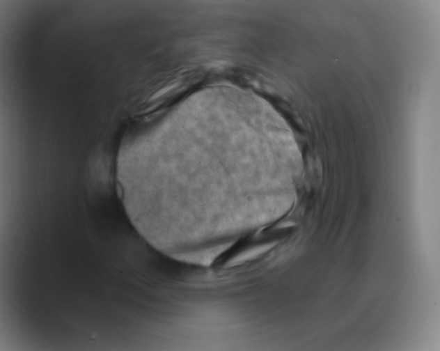 X0000088731156200706282118