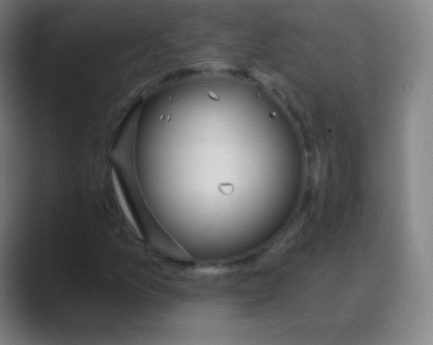 X0000088731157200706282118