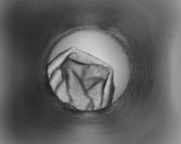 X0000088731160200706282118