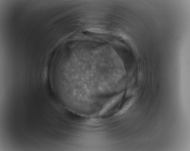 X0000088731161200706282118