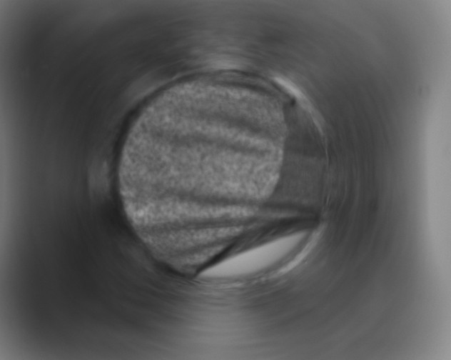 X0000088731163200706282118