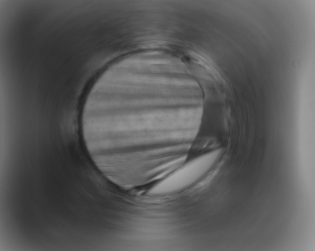 X0000088731164200706282118