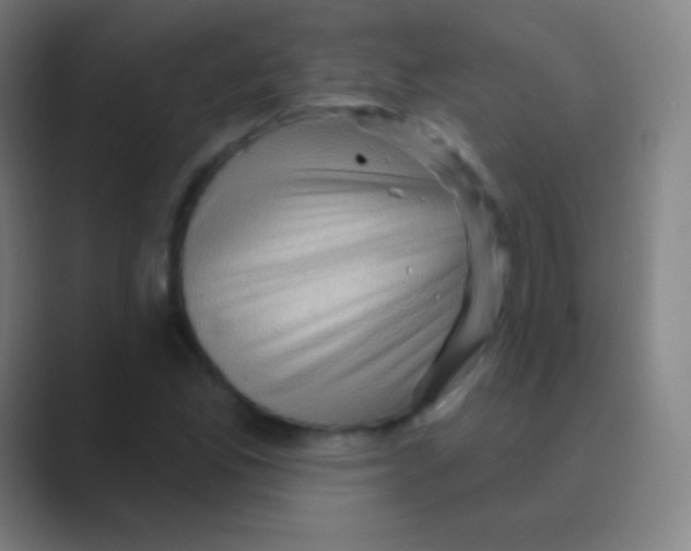 X0000088731165200706282118