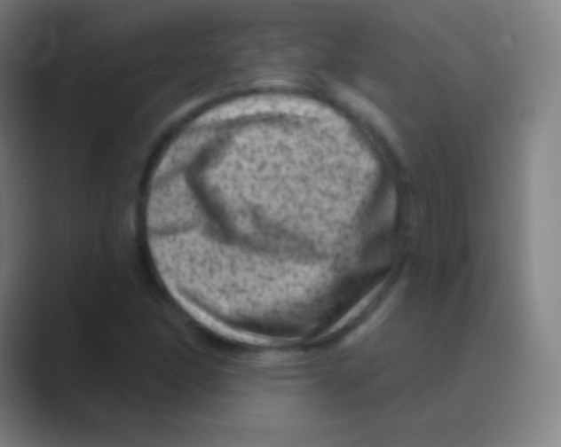 X0000088731166200706282118