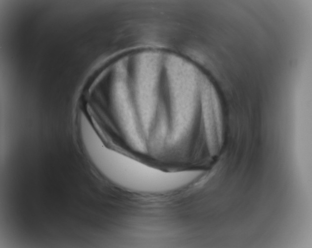 X0000088731168200706282118