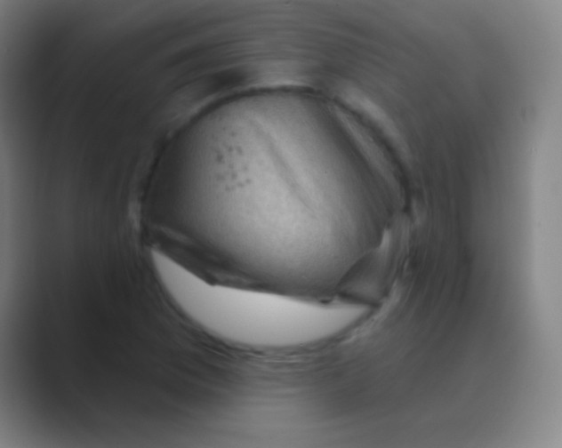 X0000088731169200706282118