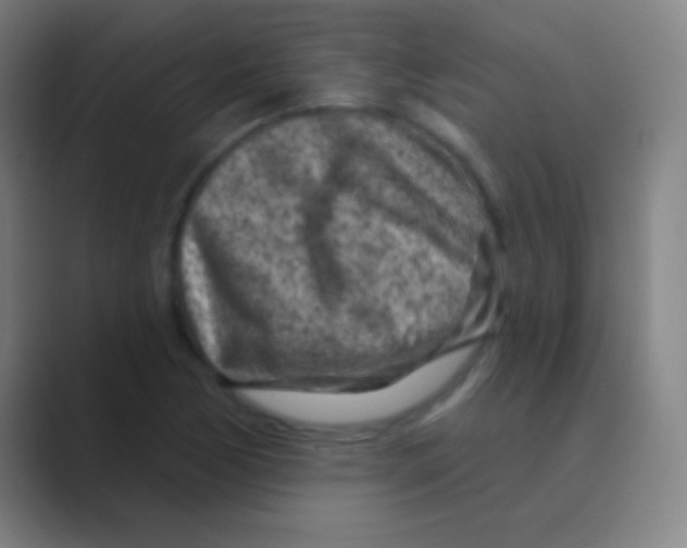 X0000088731170200706282118