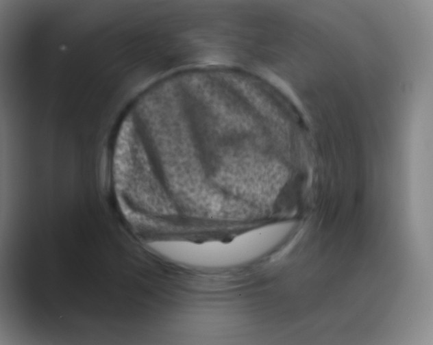 X0000088731171200706282118