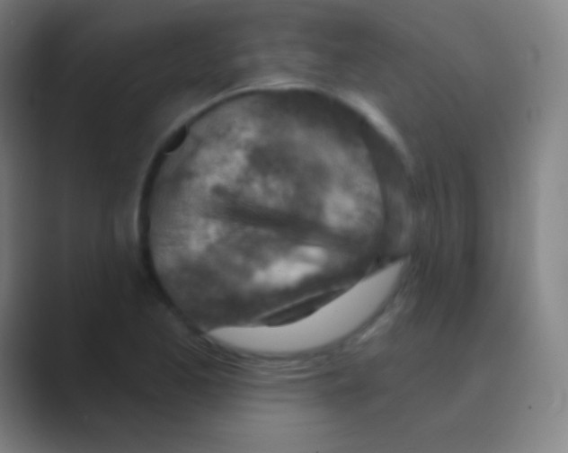 X0000088731173200706282118