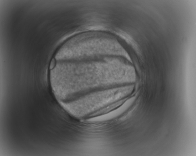 X0000088731174200706282118