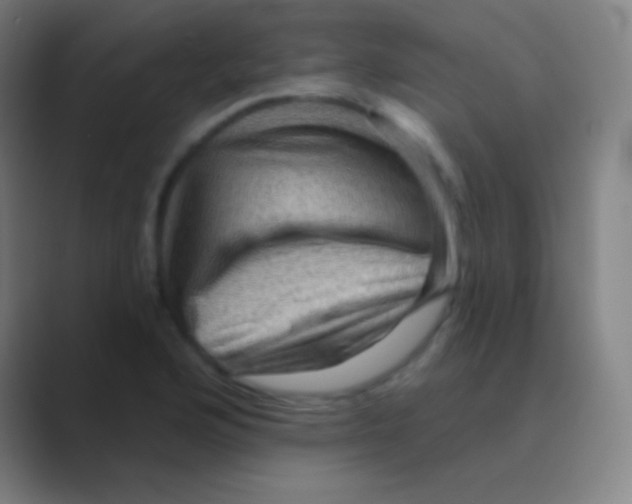 X0000088731176200706282118