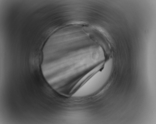 X0000088731177200706282118