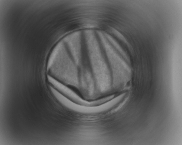 X0000088731178200706282118