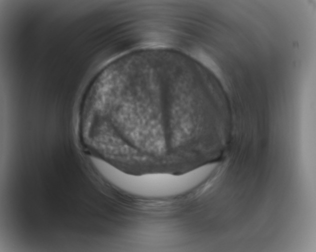 X0000088731179200706282118