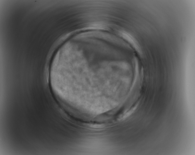 X0000088731180200706282118