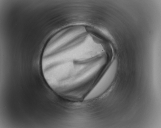 X0000088731181200706282118