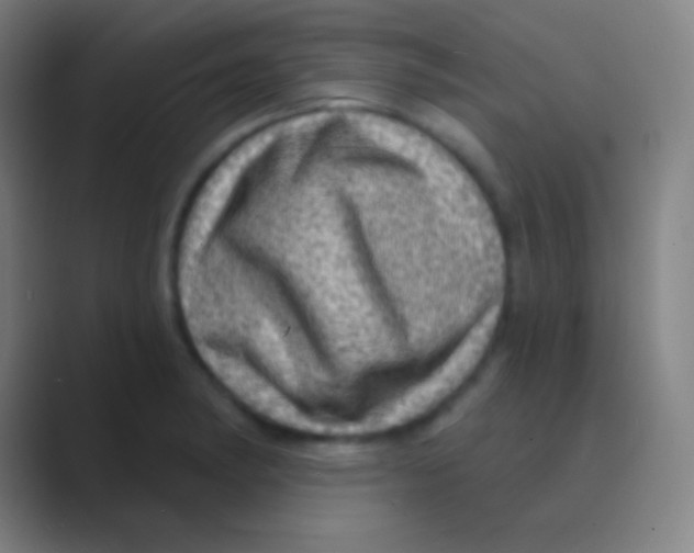 X0000088731182200706282118