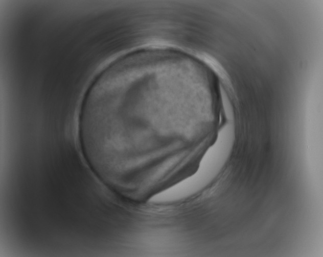 X0000088731183200706282118